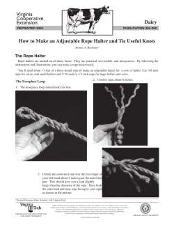 Dairy How to Make an Adjustable Rope Halter and Tie Useful Knots The Rope Halter