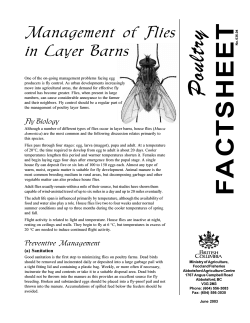 HEET Poultry Management  of  Flies in  Layer  Barns