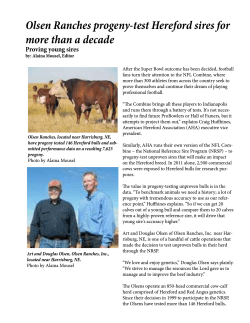 Olsen Ranches progeny-test Hereford sires for more than a decade