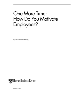 One More Time: How Do You Motivate Employees ?