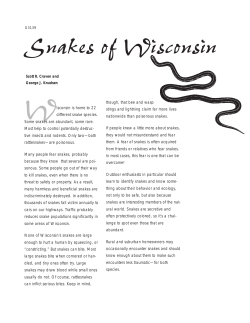 W Snakes of Wisconsin