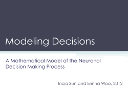 Modeling Decisions  A Mathematical Model of the Neuronal Decision Making Process