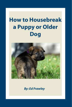 How to Housebreak a Puppy or Older Dog By: Ed Frawley