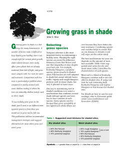 Growing grass in shade G Selecting grass species