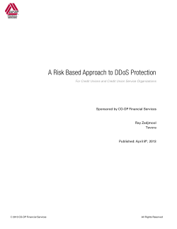 A Risk Based Approach to DDoS Protection