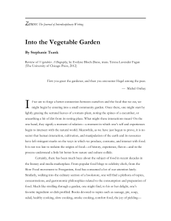 Into the Vegetable Garden Zeteo:  By Stephanie Tsank