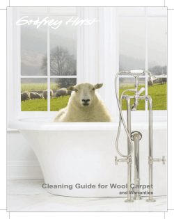 Cleaning Guide for Wool Carpet and Warranties