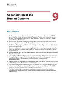 9 Organization of the Human Genome Chapter 9