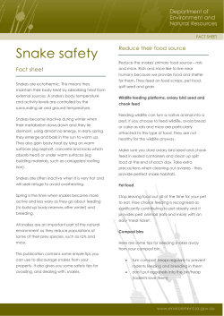 Snake safety Reduce their food source Fact sheet
