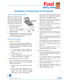 Guidelines on Deep Fryers and Frying Oil