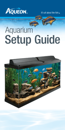 Setup Guide Aquarium