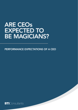 are ceos expected to be magicians? performance expectations of a ceo