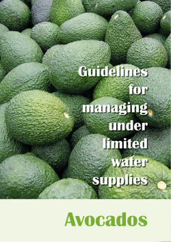 Avocados Guidelines for managing