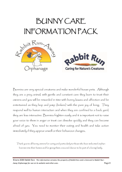 BUNNY CARE INFORMATION PACK