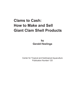 Clams to Cash: How to Make and Sell Giant Clam Shell Products by