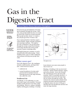 Gas in the Digestive Tract National Digestive Diseases Information Clearinghouse