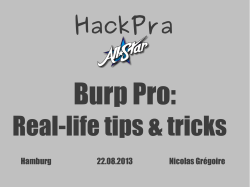Burp Pro: Real-life tips &amp; tricks HackPra
