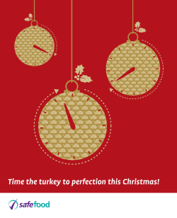 Time the turkey to perfection this Christmas!