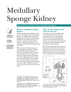Medullary Sponge Kidney What are the kidneys and What is medullary sponge