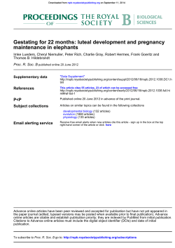Gestating for 22 months: luteal development and pregnancy maintenance in elephants