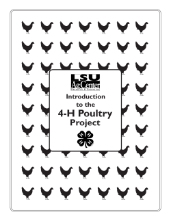 4-H Poultry Project Introduction to the
