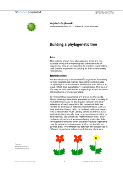 Building a phylogenetic tree 134567 Wojciech Grajkowski bio
