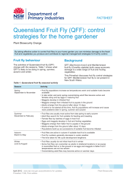 Queensland Fruit Fly (QFF): control strategies for the home gardener FACTSHEET