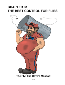 CHAPTER 31 THE BEST CONTROL FOR FLIES The Fly: The Devil’s Mascot! 1125