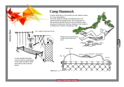 Camp Hammock
