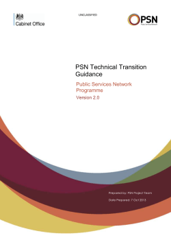 PSN Technical Transition Guidance Public Services Network