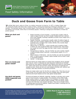 T Duck and Goose from Farm to Table Food Safety While Hiking,
