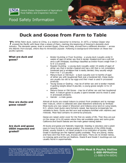 T Duck and Goose from Farm to Table Food Safety While Hiking,