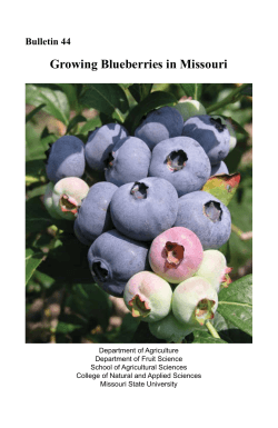 Growing Blueberries in Missouri Bulletin 44