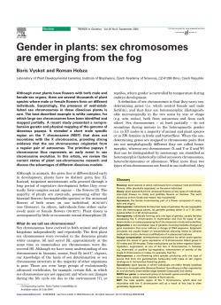 Gender in plants: sex chromosomes are emerging from the fog