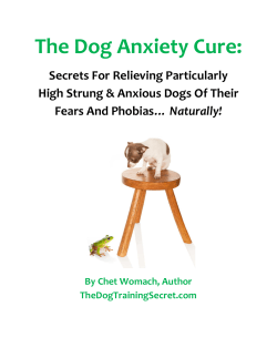 The Dog Anxiety Cure: Secrets For Relieving Particularly … Naturally!