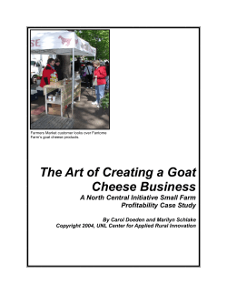 The Art of Creating a Goat Cheese Business Profitability Case Study
