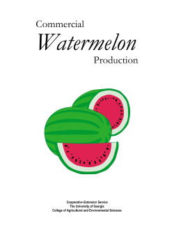 Watermelon Commercial Production Cooperative Extension Service