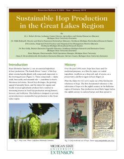 Sustainable Hop Production in the Great Lakes Region