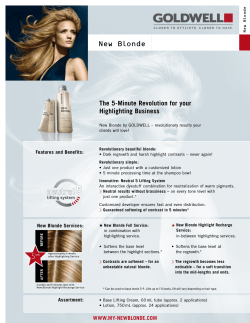 New Blonde The 5-Minute Revolution for your Highlighting Business Features and Benefits: