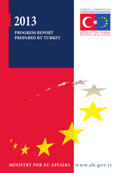 2013 www.ab.gov.tr PROGRESS REPORT PREPARED BY TURKEY