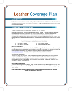 Leather Coverage Plan  LEATHER FACTS
