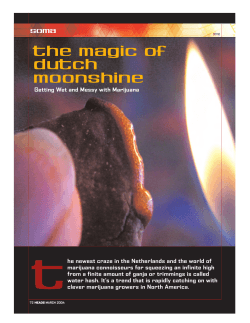 T The Magic of Dutch Moonshine
