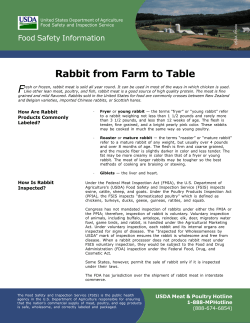 F Rabbit from Farm to Table Food Safety Information