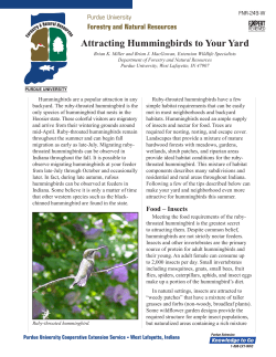 Attracting Hummingbirds to Your Yard Forestry and Natural Resources Purdue University
