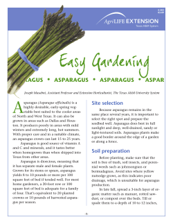 Easy Gardening • ASPARAGUS ASPAR