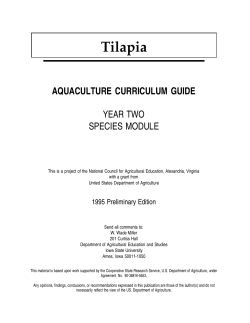 Tilapia AQUACULTURE CURRICULUM GUIDE YEAR TWO SPECIES MODULE