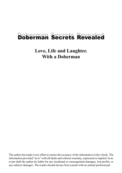 Doberman Secrets Revealed Love, Life and Laughter. With a Doberman