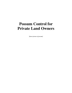 Possum Control for Private Land Owners Insert picture of possum