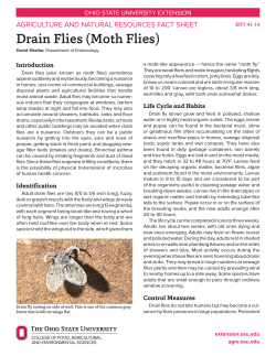 Drain Flies (Moth Flies) AGRICULTURE AND NATURAL RESOURCES FACT SHEET Introduction
