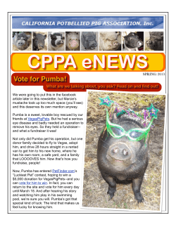 CPPA eNEWS Vote for Pumba!